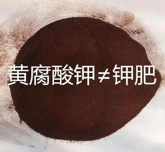 礦源黃腐酸鉀，到底是人為的炒作？還是真的有增產奇效？