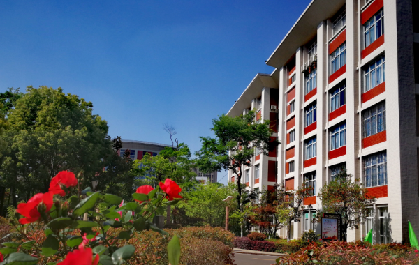 雲南“令人驚豔”的高中，一本升學率達92.16%，其中15人考上清北