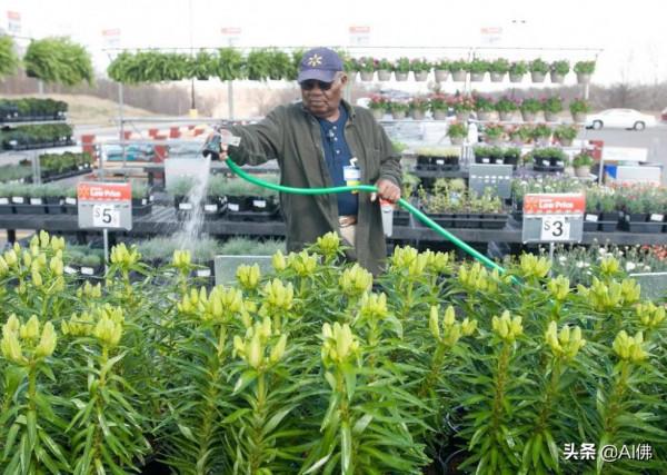 沃爾瑪在美國各州數量排行 沃爾瑪在美國各州數量排行