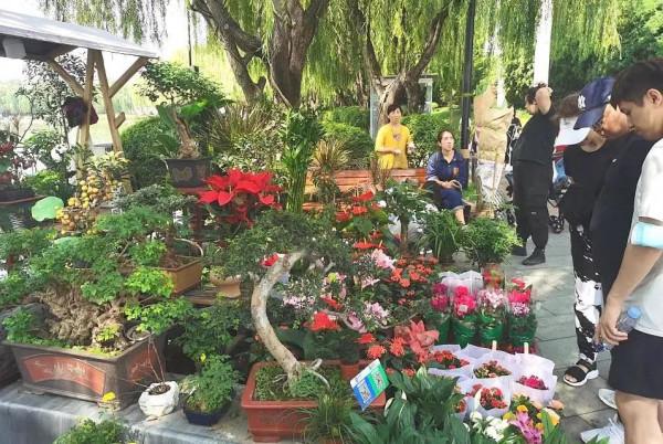 跟著《國慶小長假曲江打卡指南》，嗨玩七天不重樣！