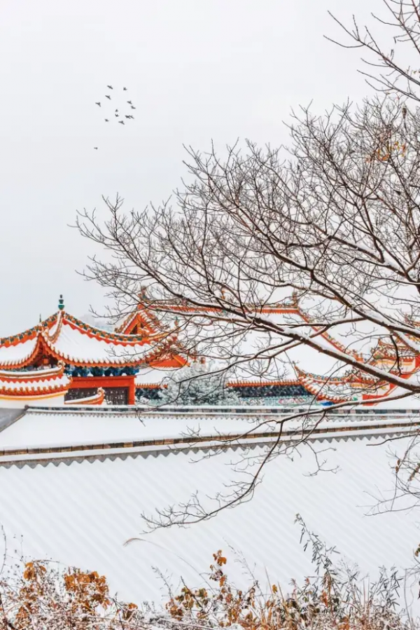 聽完29個雪的名字,原來每一場雪都獨一無二! 聽完29個雪的名字,原來每一場雪都獨一無二!