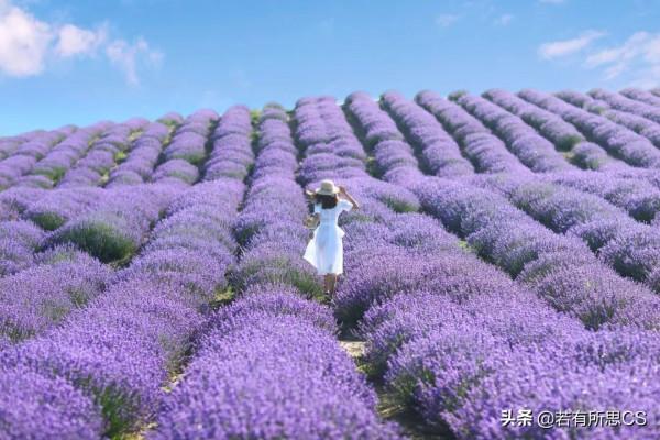 去新疆旅行25次的蘇州女子：哪些事是你去過新疆以後，才知道的？