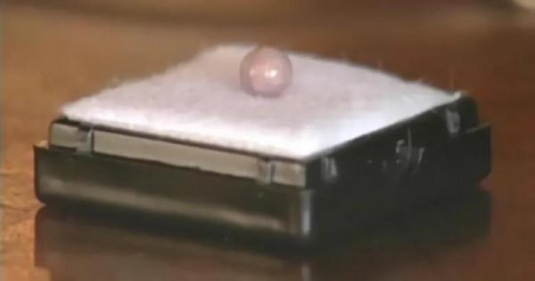 2007年他在餐館吃蛤蜊時吃出一顆珍珠，1個月後價格漲到16萬