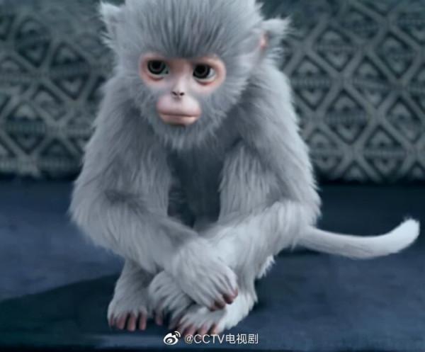 一隻貓，讓《當家主母》的評分一降再降