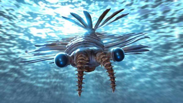 盤點地球各時期的生物霸主——（一）古生代