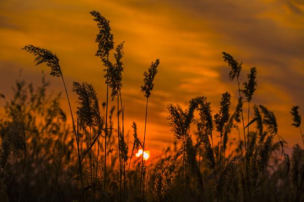 兄弟姐妹情同陌路，除了父母偏心外，還有以下幾個原因