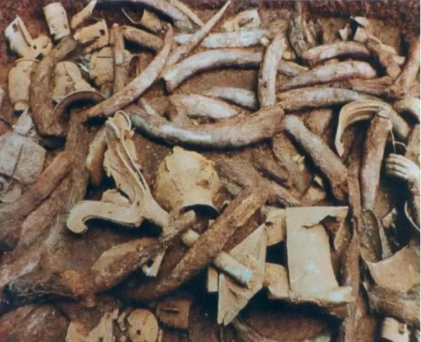 四川金沙挖出千根象牙,剛挖到一半,專家卻大喊:埋回去,趕緊撤 四川金沙挖出千根象牙,剛挖到一半,專家卻大喊:埋回去,趕緊撤