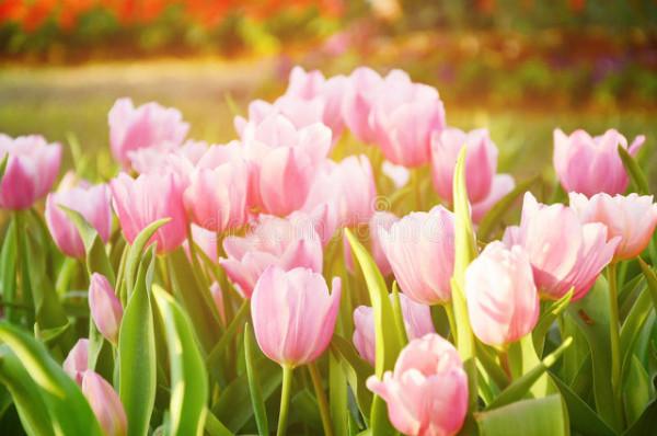 50到60歲是存錢黃金10年，你存下錢了嗎？3個女人說出心裡話