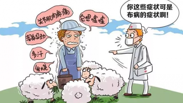 涮羊肉吃出“布病”？這是什麼病？怎麼傳染的？醫生教你如何預防