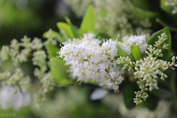 2021吉林師範大學（黑龍江）錄取分數