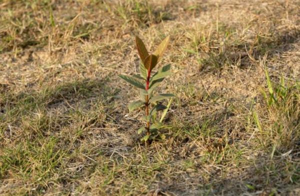 辛丑季秋散詞的悟思·18