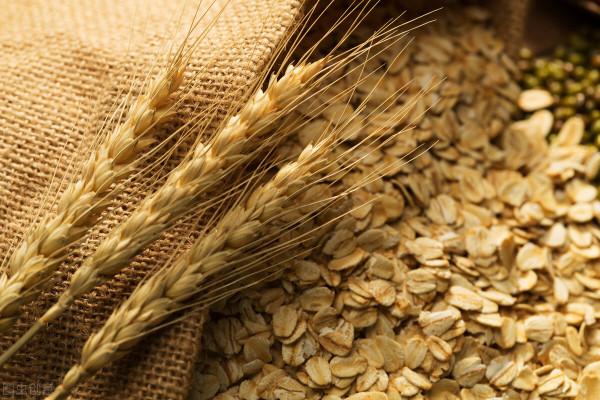 什麼是直腸癌,這些表現都可能是直腸癌來了 什麼是直腸癌,這些表現都可能是直腸癌來了