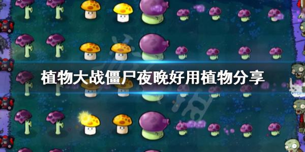 《植物大戰殭屍》夜晚用什麼植物 夜晚好用植物分享 《植物大戰殭屍》夜晚用什麼植物 夜晚好用植物分享