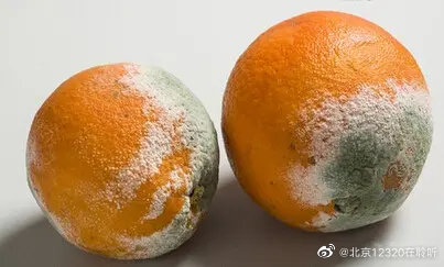 如何預防食物發黴？