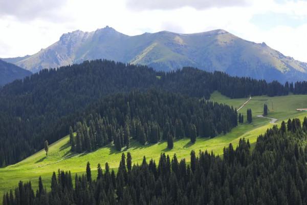 絕美卻鮮為人知！離新疆烏魯木齊200多公里處，藏著一處天山麥海