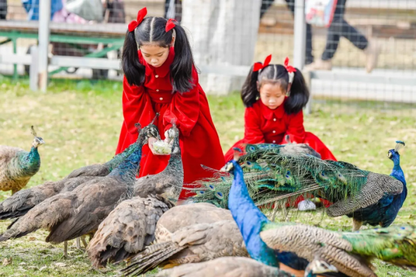 兒童城堡免費耍！還有可愛萌寵和超大草坪，公交直達，遛娃必去