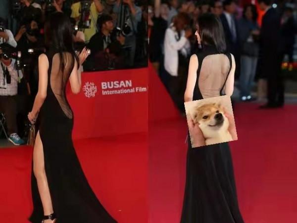 美麗“凍人”,韓國女明星走紅毯 美麗“凍人”,韓國女明星走紅毯