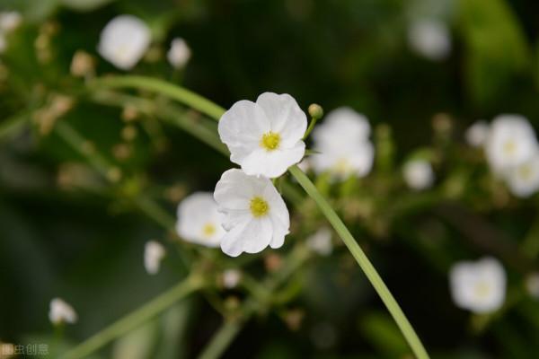 75歲大爺傾訴:給孫子3萬被外孫說太偏心,誰讓他不跟我一個姓的 75歲大爺傾訴:給孫子3萬被外孫說太偏心,誰讓他不跟我一個姓的