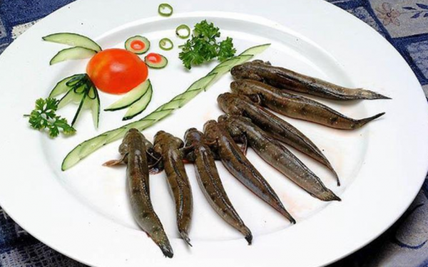 跳跳魚:我為了上岸跳了3億年,卻還是跳進了你們人類的廚房 跳跳魚:我為了上岸跳了3億年,卻還是跳進了你們人類的廚房