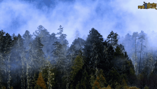 探訪冰川、峽谷徒步，睡在松贊新店，開啟一場自然大冒險