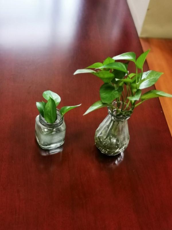 童趣，還能給孩子留住多少