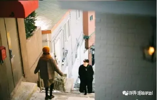 在她倒下的背後，我看到了更多平凡人的不易