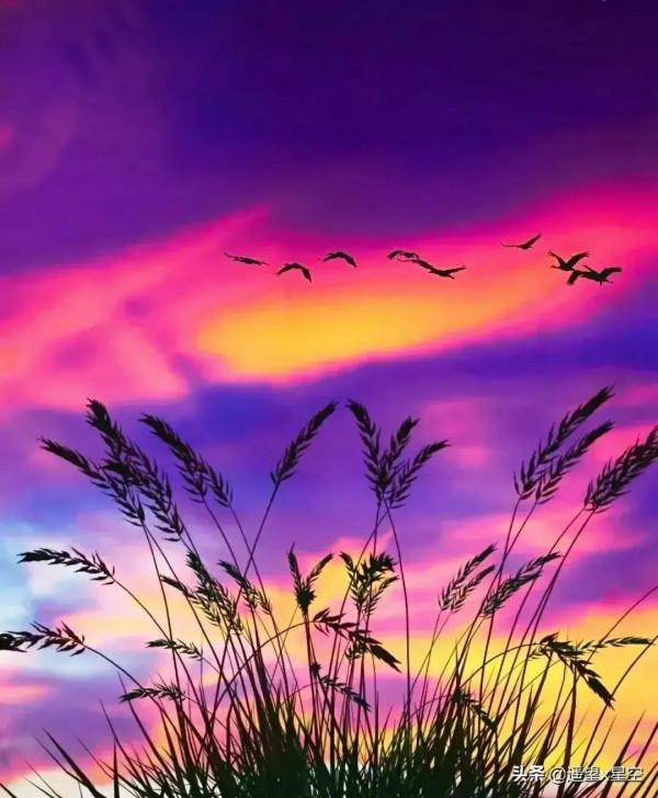 震撼世界的絕美自然風光（六十個圖片）