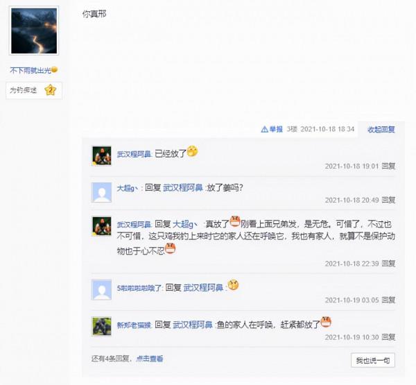 湖北一男子用小魚釣水鳥,怕惹麻煩又放了,網友:“你真刑” 湖北一男子用小魚釣水鳥,怕惹麻煩又放了,網友:“你真刑”