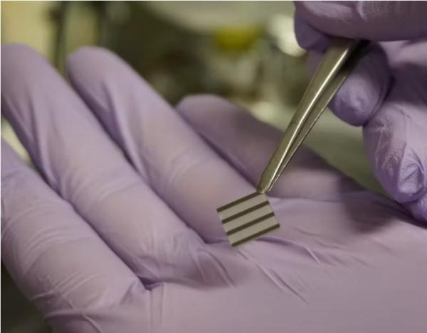 科學家:氧化鎳晶片,可以為人工智慧提供新的驅動力 科學家:氧化鎳晶片,可以為人工智慧提供新的驅動力