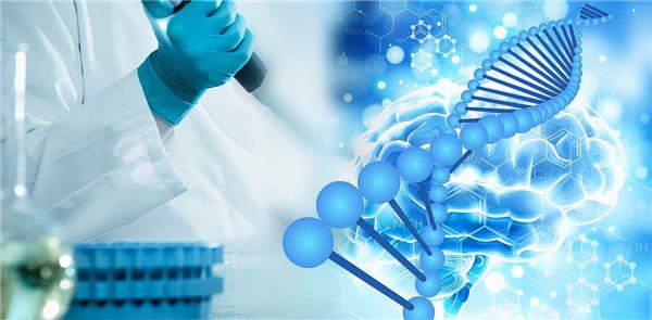 乙肝表觀遺傳，以及TLR8激動劑，簡要介紹藥物開發作用機理