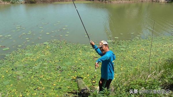 你還在為開不好拉餌而發愁嗎？一個小妙招告訴你，簡單、實用
