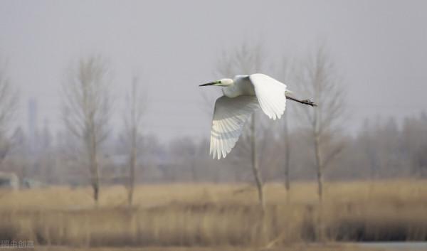 像候鳥一樣避寒避暑，會打亂人的身體機能