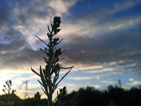 一個人最大的本事是：能忍