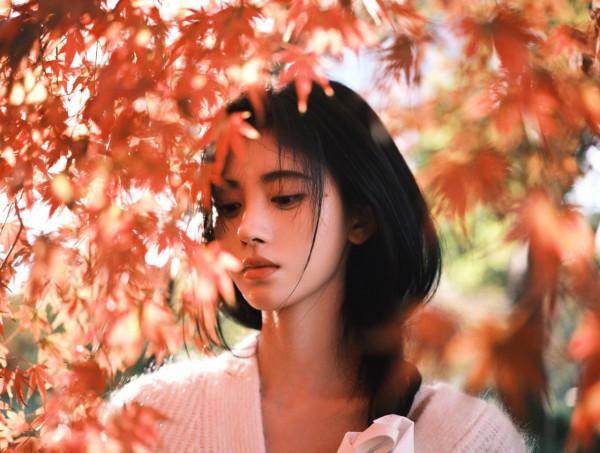 185號“女神”鞠婧禕 185號“女神”鞠婧禕