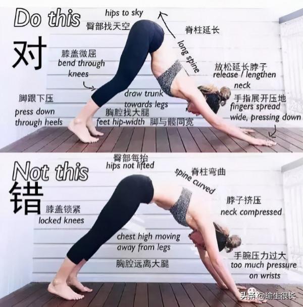 你是不是很苦惱為什麼天天練瑜伽，下犬式中腳後跟還不能落地？