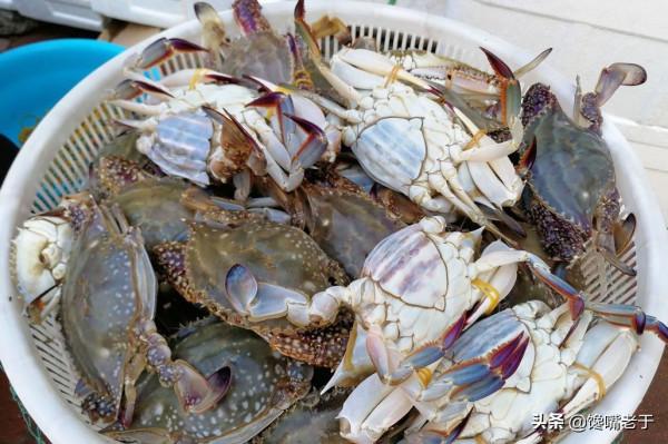 買梭子蟹：個頭大未必好，老漁民教你一招，個個“頂蓋肥”，太香