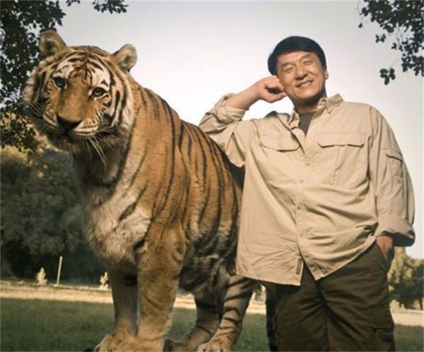 為什麼貓被捏住後頸會變乖?拿捏老虎的後頸,它也會站著不動嗎? 為什麼貓被捏住後頸會變乖?拿捏老虎的後頸,它也會站著不動嗎?