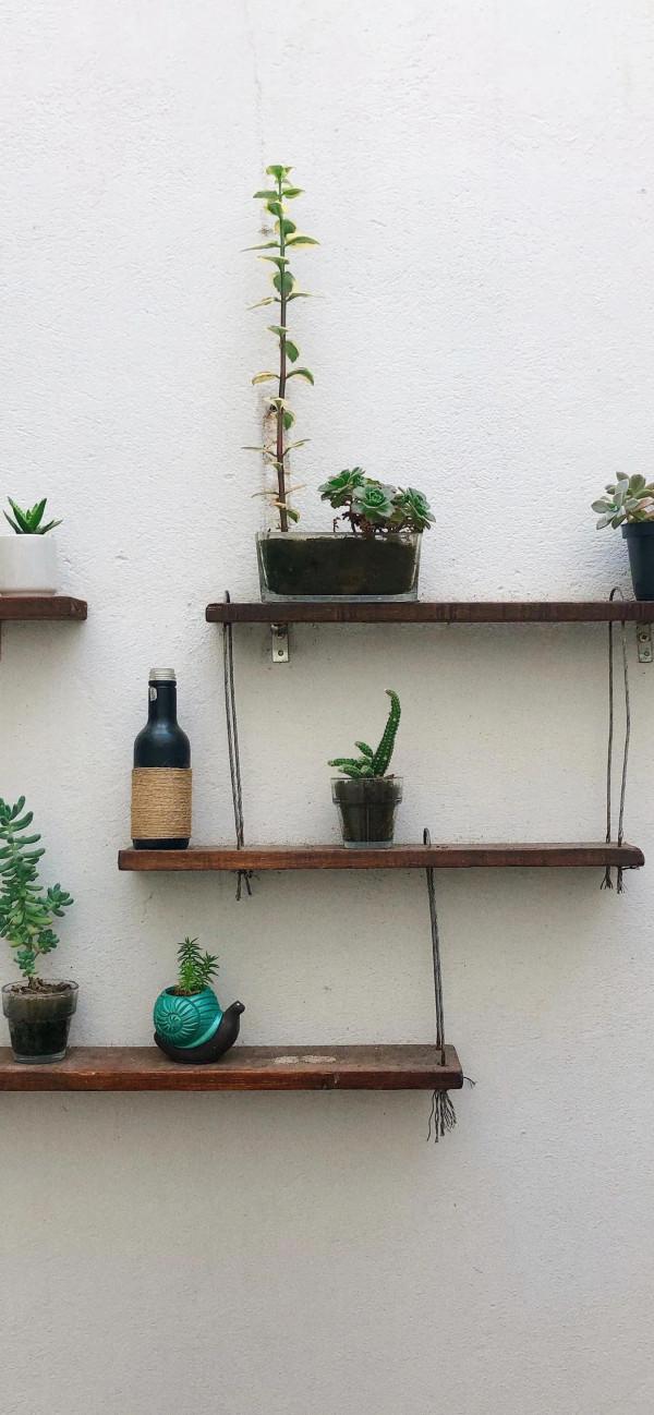 桌布 | 生活是過給自己看的