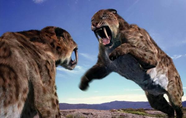 要復活長毛象?現已有明確的研究計劃 要復活長毛象?現已有明確的研究計劃