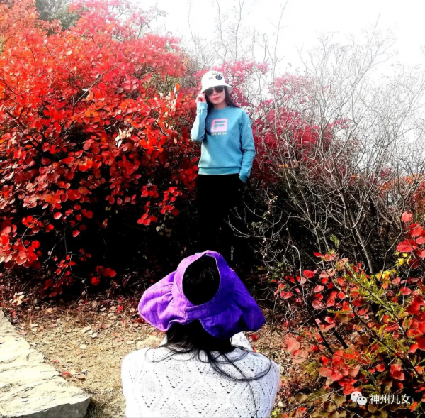 太行紅葉別樣紅