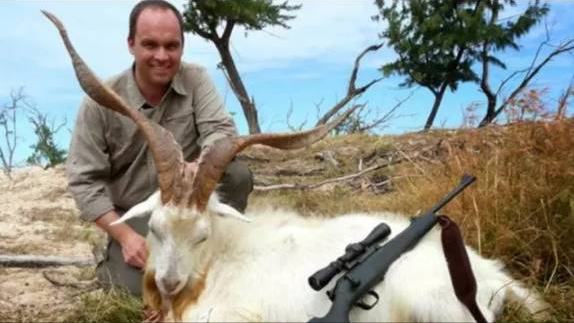 澳大利亞山羊也能氾濫,破壞生態讓人無可奈何,為何不用吃來解決 澳大利亞山羊也能氾濫,破壞生態讓人無可奈何,為何不用吃來解決