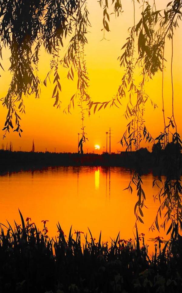 夕陽無限好，醉美夕陽