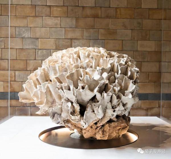 管道穿行間,遊遍倫敦—博物館篇之自然歷史博物館(下) 管道穿行間,遊遍倫敦—博物館篇之自然歷史博物館(下)