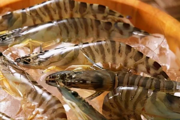 羅氏蝦、基圍蝦、明蝦有啥區別？口感差很多，建議弄明白再買