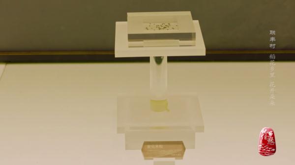 守著稻田住在花園，還有國家級非物質文化遺產&srarr;