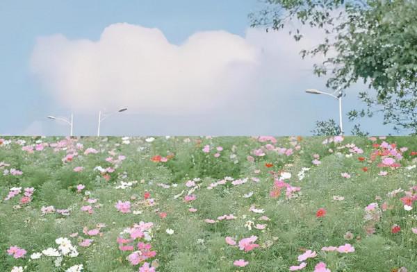 高考作文素材，承包你三年的滿分作文素材，摘要金句（420頁）