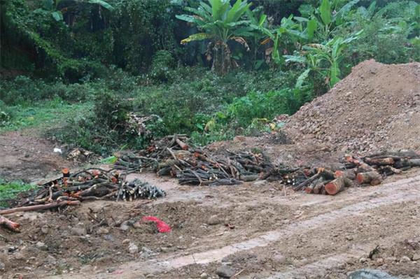 廣東觀音山：文旅樣本捍衛生態文明的坎坷之路