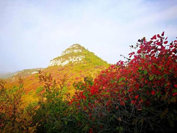 太行山最美的秋色在這裡