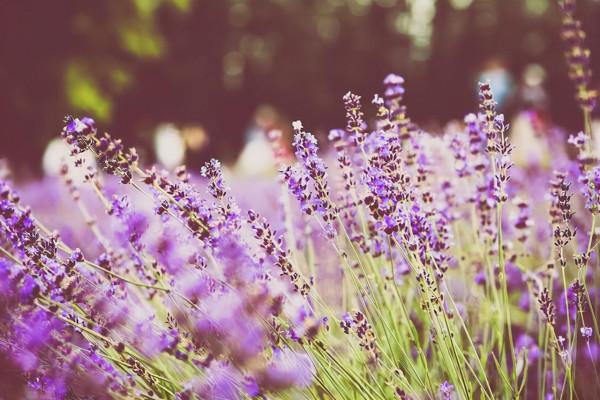 人老了，別太高估枕邊人，你真正的依靠是這些