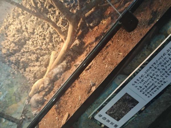 內蒙古科技館一日遊